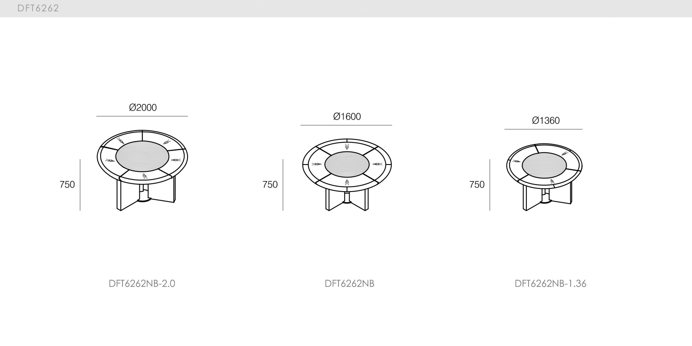 DICKSON - spec-en-DFT6262