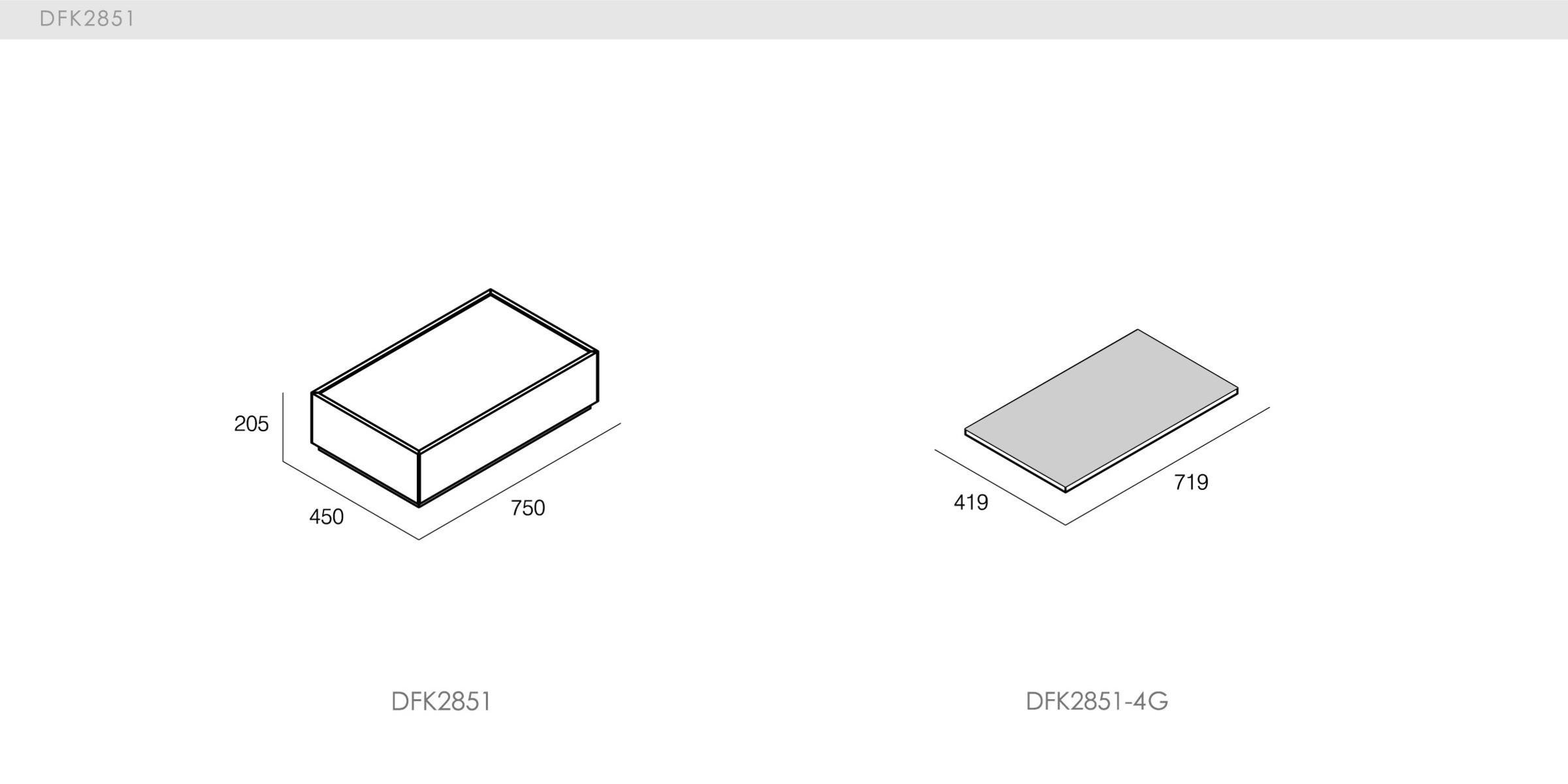 DICKSON - spec-en-DFK2851