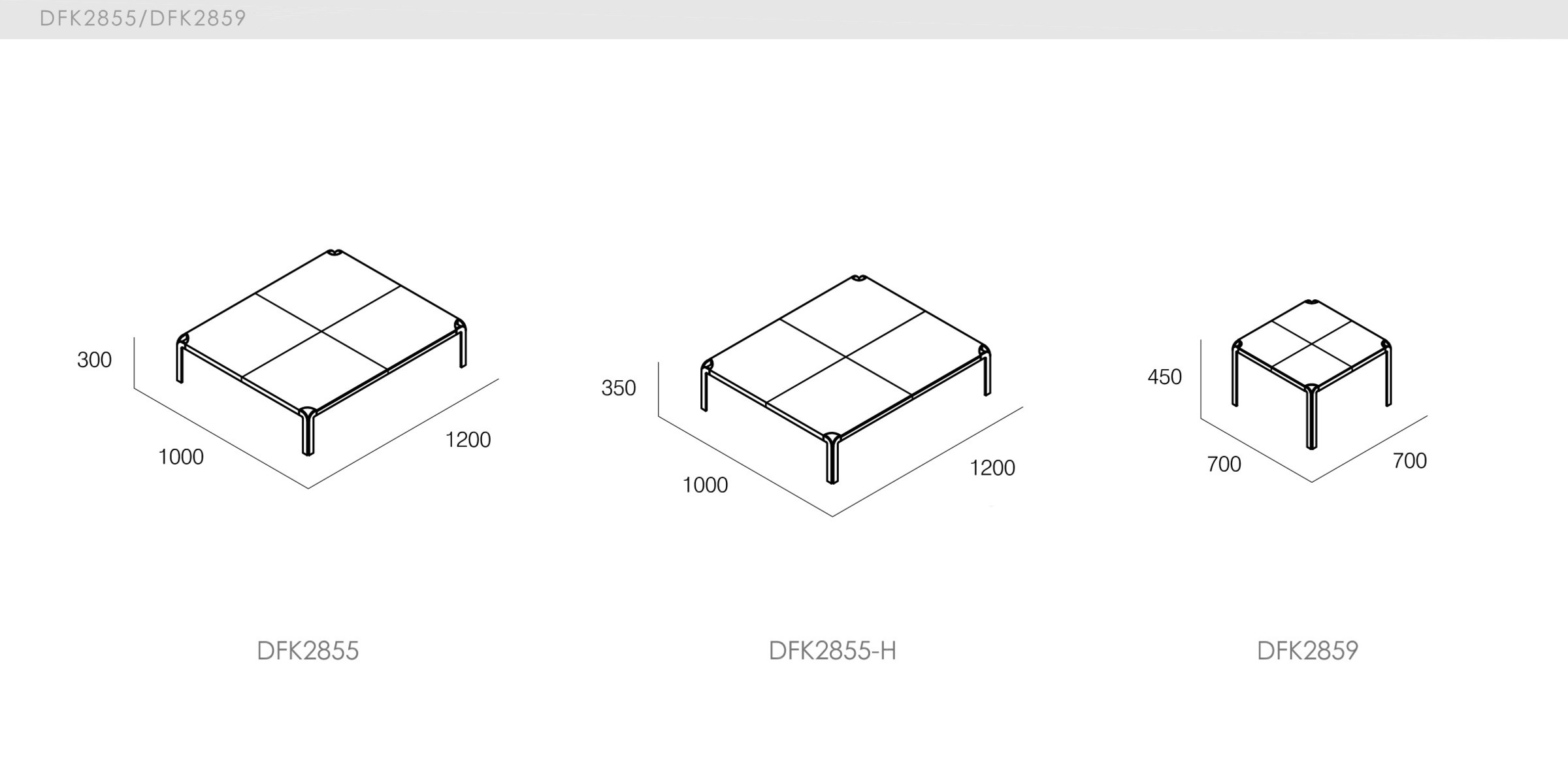 DICKSON - spec-en-DFK2855