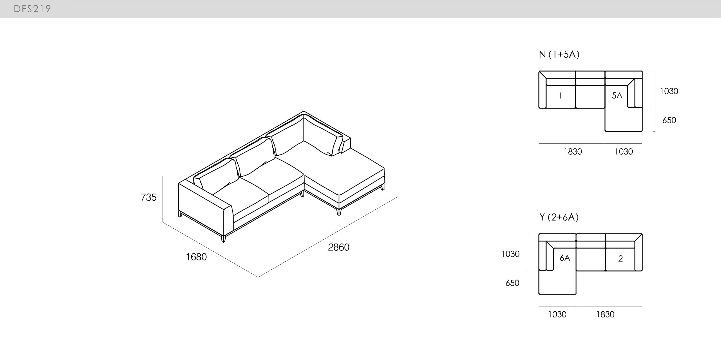 DICKSON - spec-en-DFS219