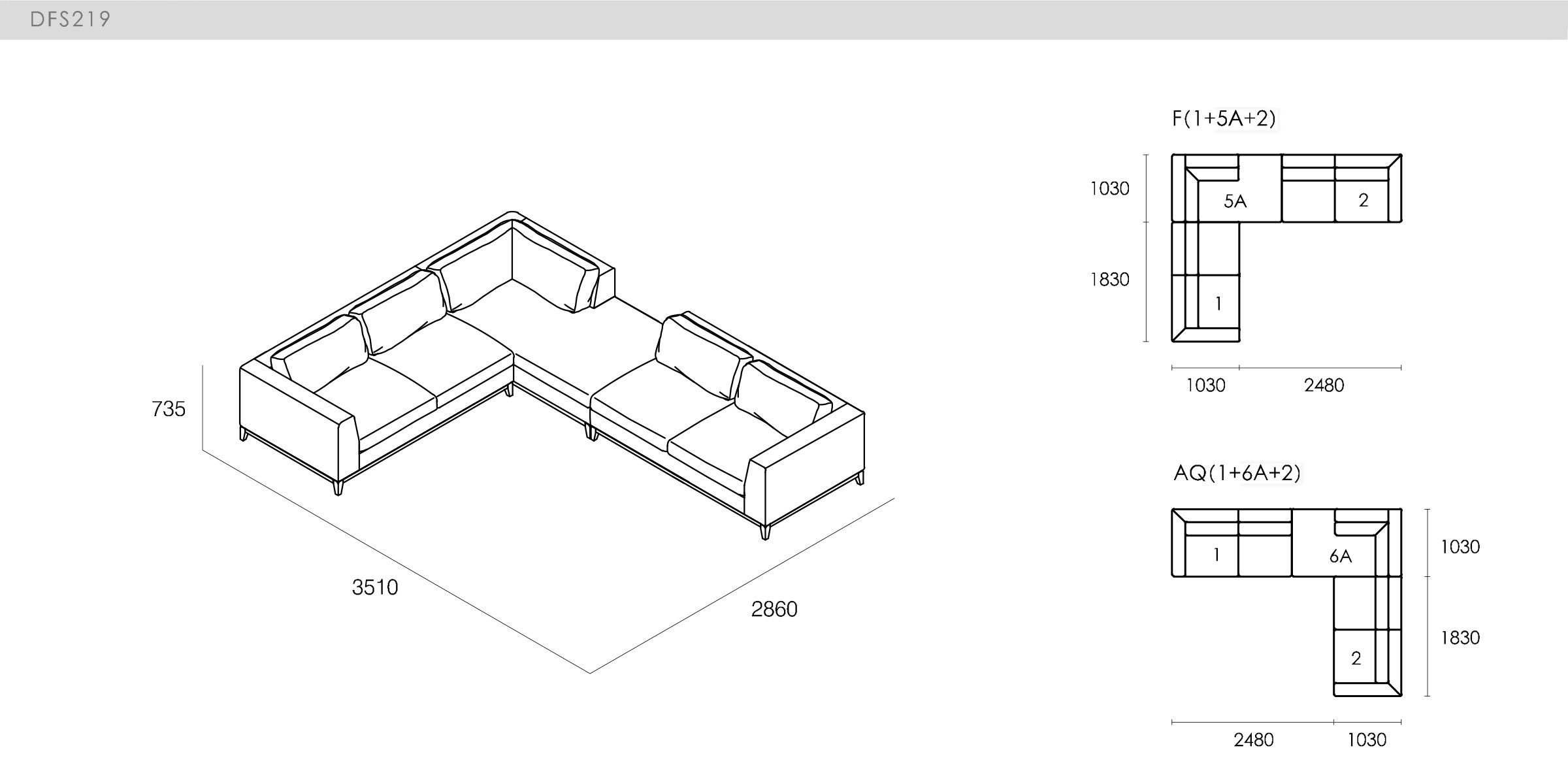 DICKSON - spec-en-DFS219