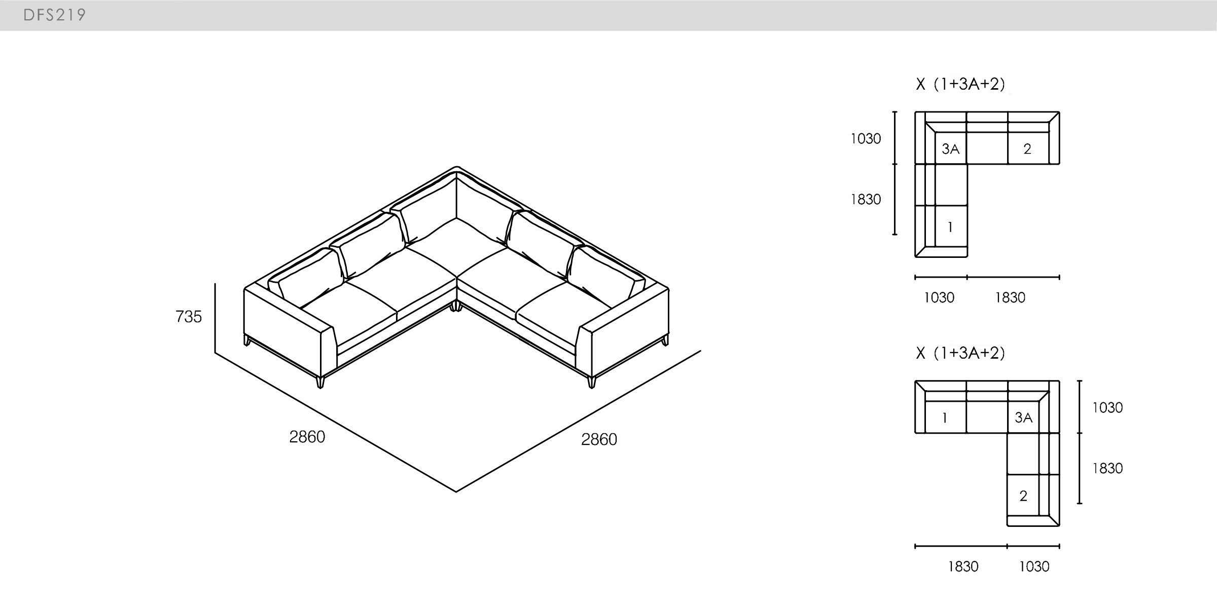 DICKSON - spec-en-DFS219