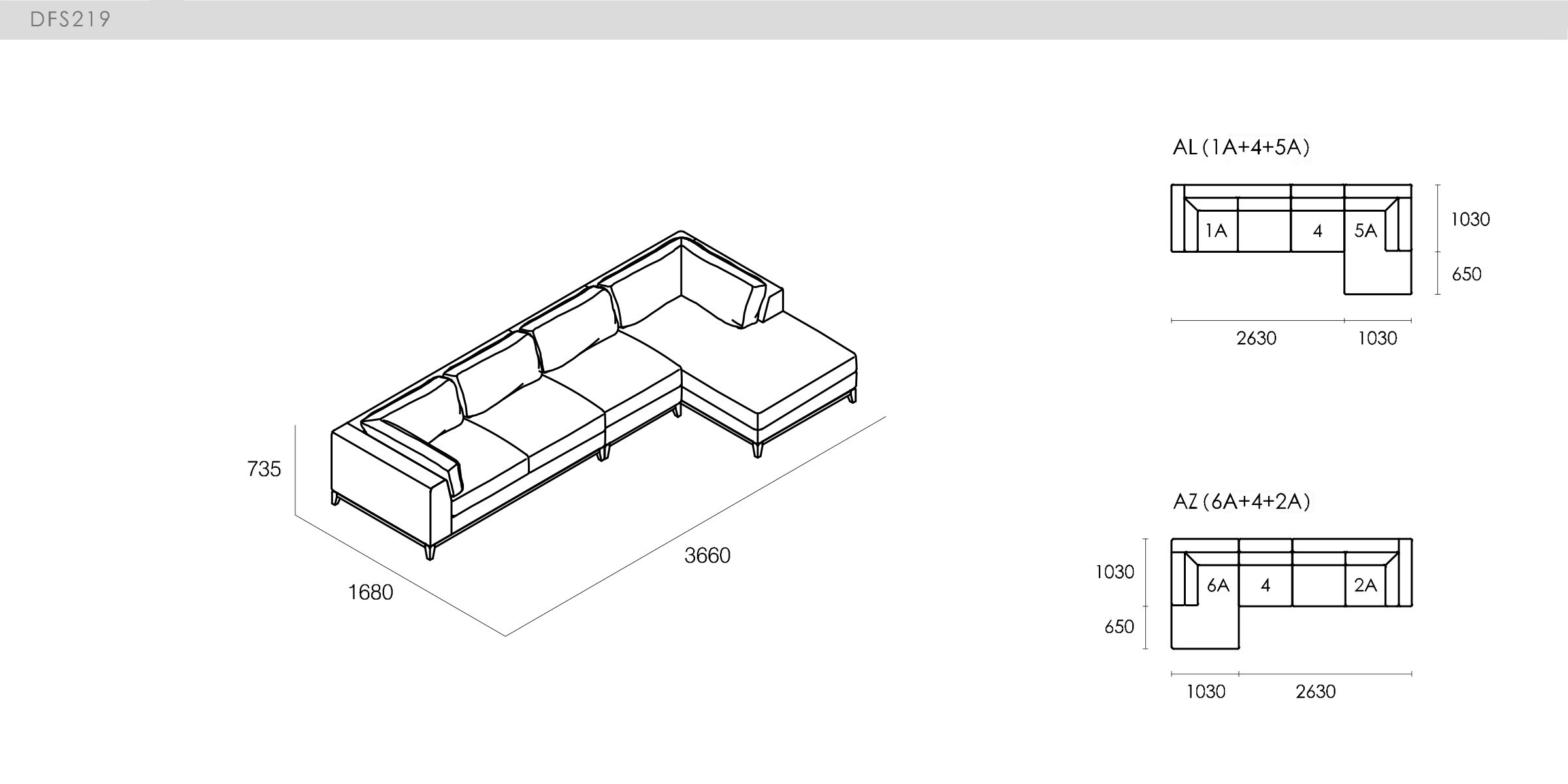 DICKSON - spec-en-DFS219