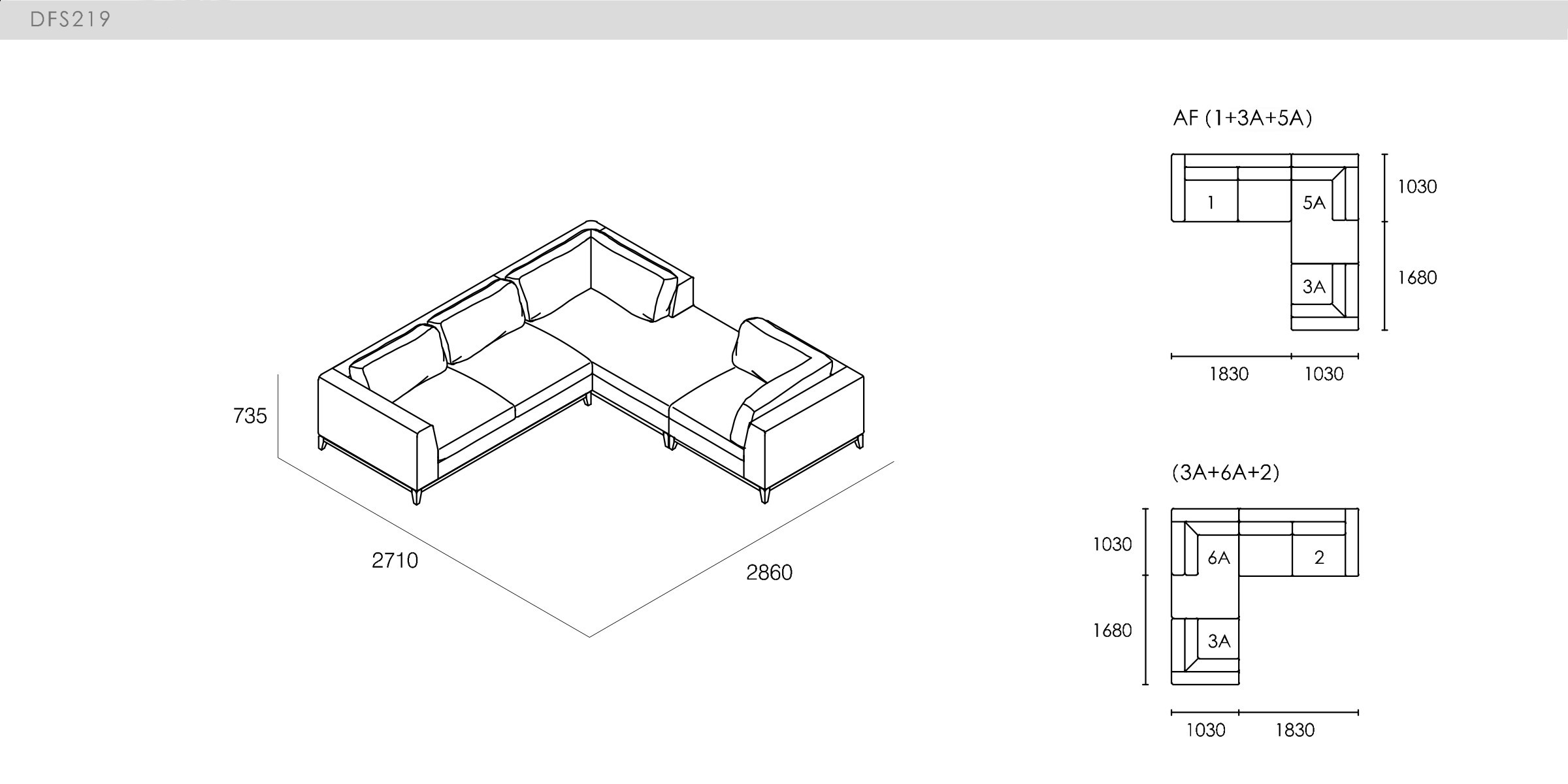 DICKSON - spec-en-DFS219