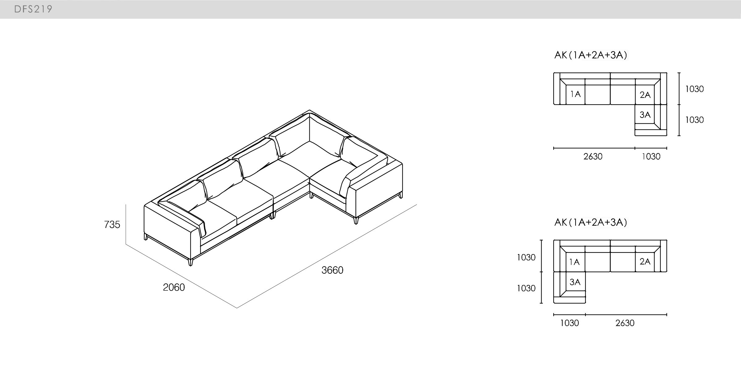 DICKSON - spec-en-DFS219