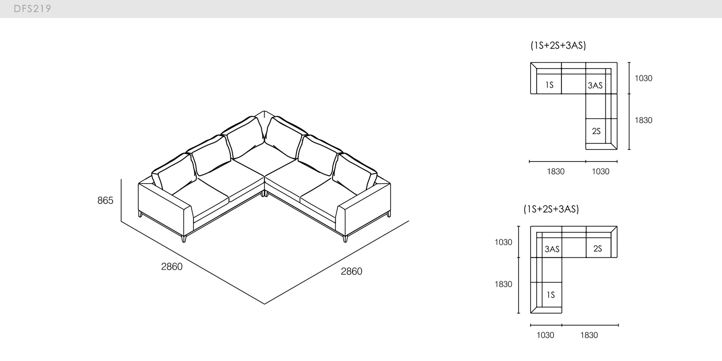 DICKSON - spec-en-DFS219