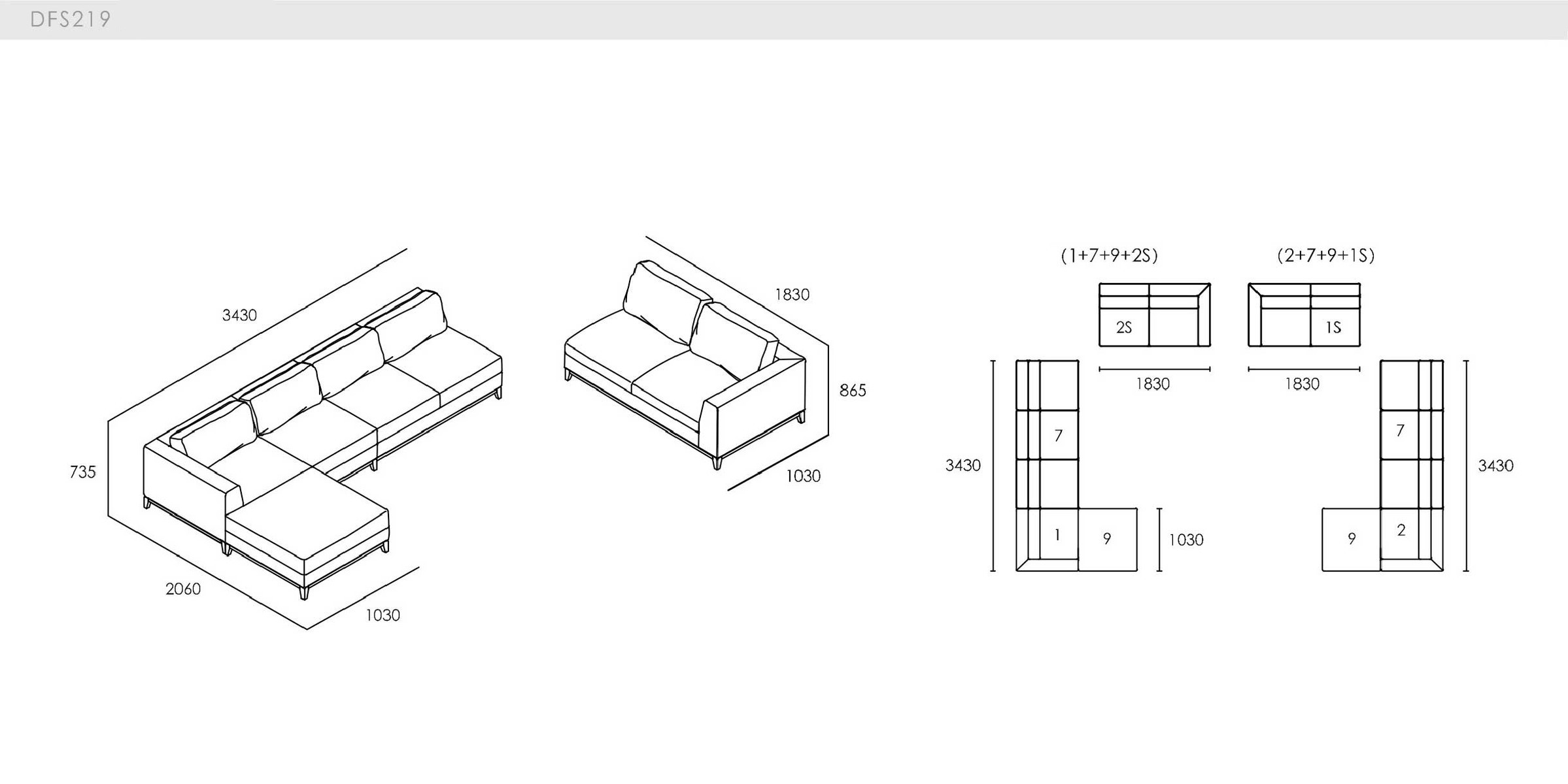 DICKSON - spec-en-DFS219