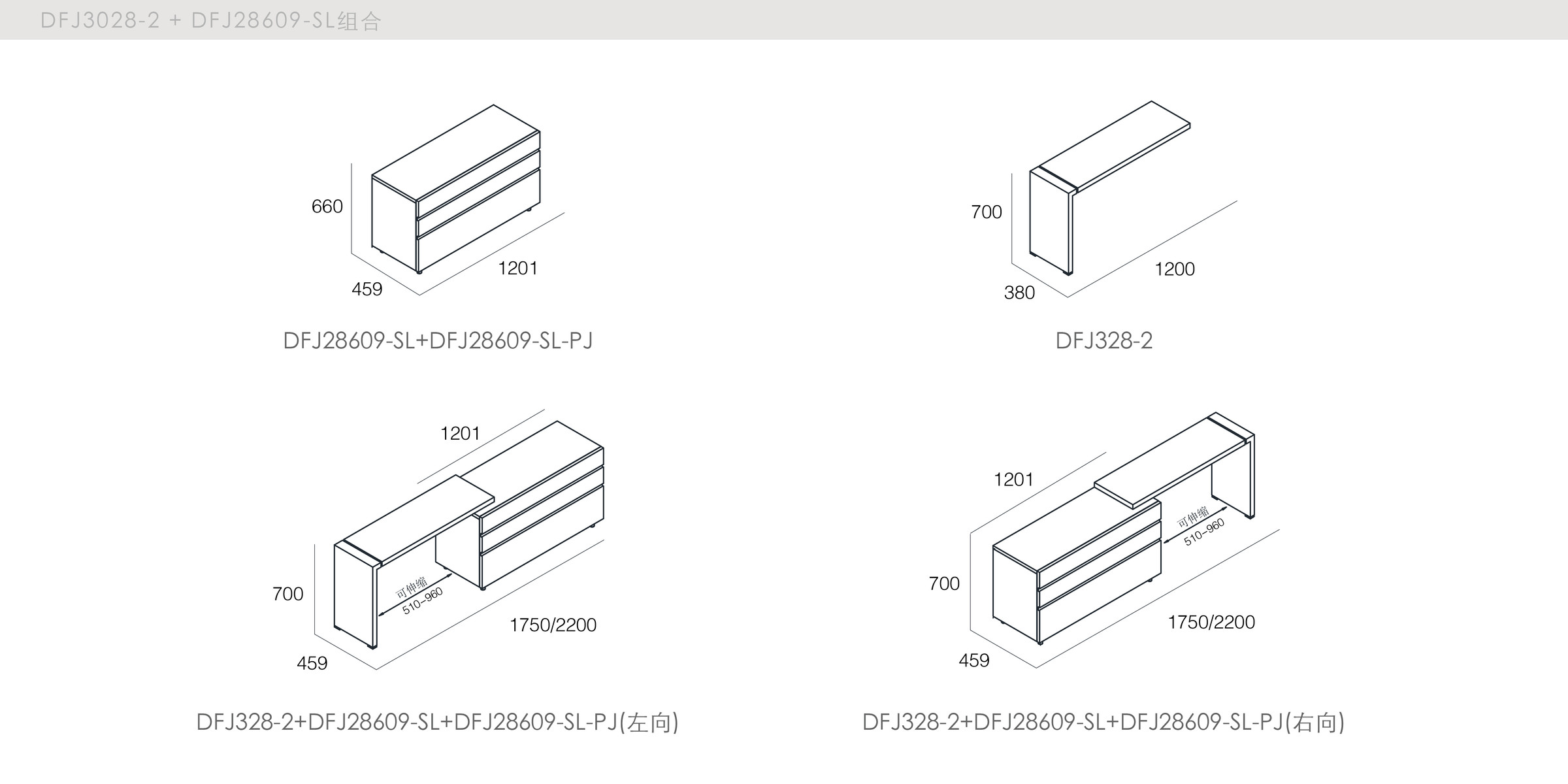 DICKSON - spec-en-DFJ3028-2+DFJ28609-SL