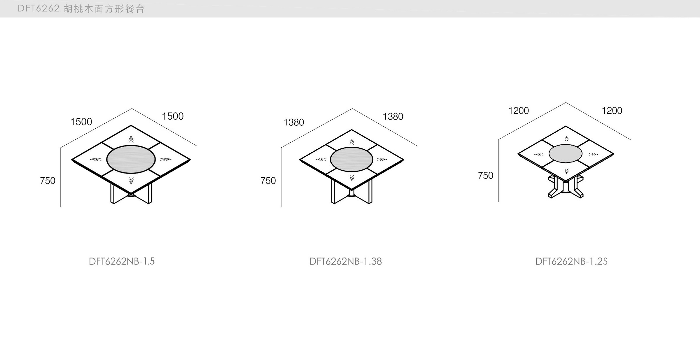 DICKSON - spec-en-DFT6262