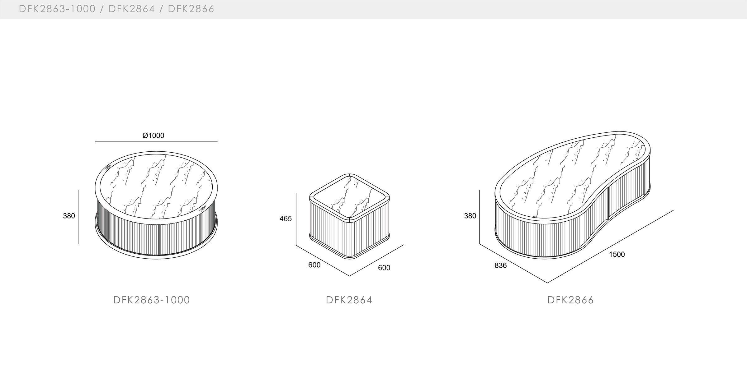 DICKSON - spec-en-DFK2863-2864-2866