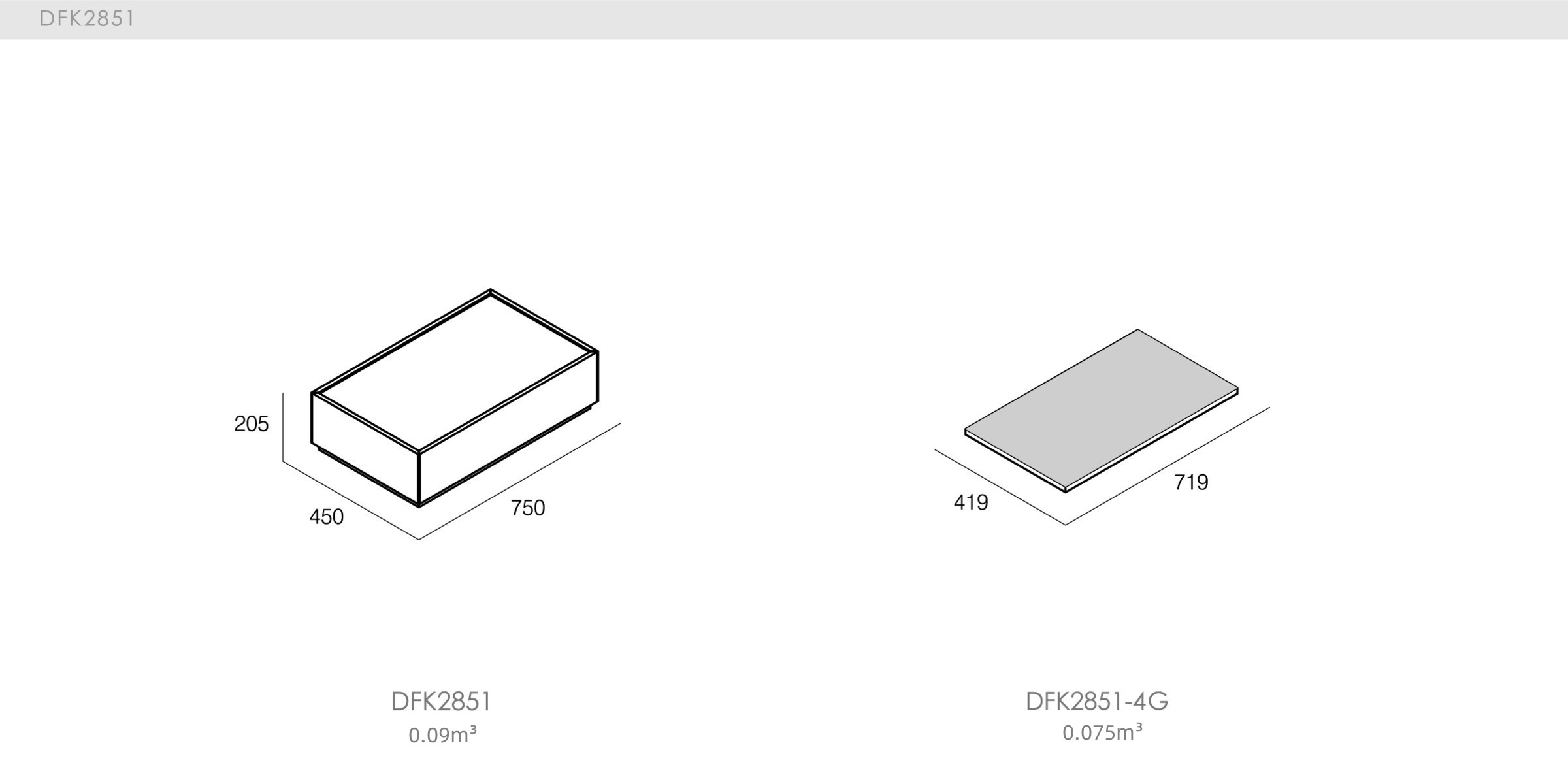 DICKSON - spec-en-DFK2851