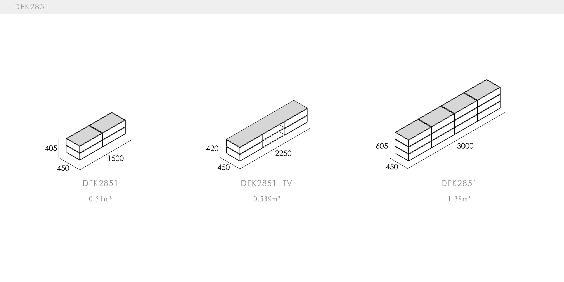 DICKSON - spec-en-DFK2851